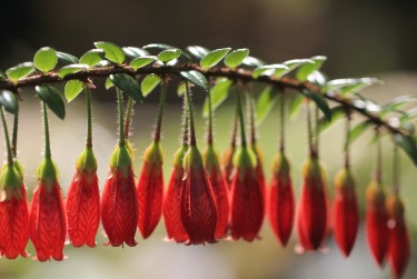 珠海斗门区1私人快速借钱网，轻松解决资金难题