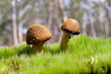 珠海斗门区1私人老板放款：轻松融资的秘密通道